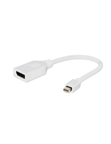 Adaptateur Mini Displayport / M -...