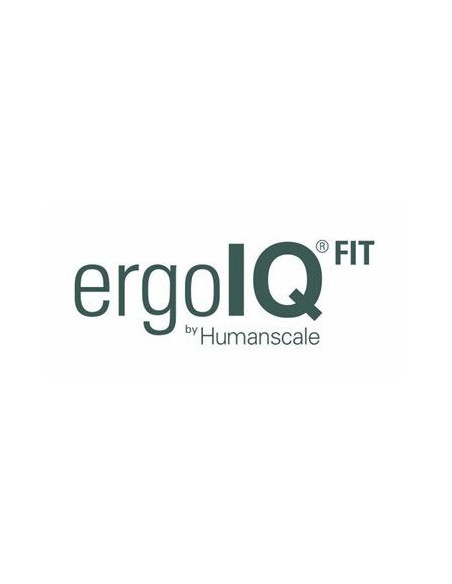 ergoIQ FIT Entrp Lic per U/Y 251-500