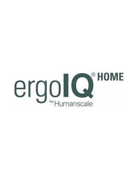 ergoIQ HOME 251-500 users Tier II 3Y