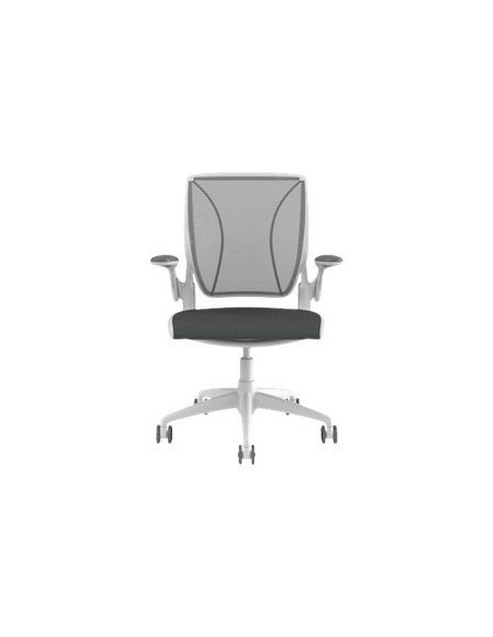 Wrld Chair Adjust Arms Wh Frme Silv Back