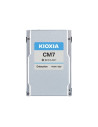 X121 CM7-R eSSD U.3 eSDD 3.8TB PCIe SIE