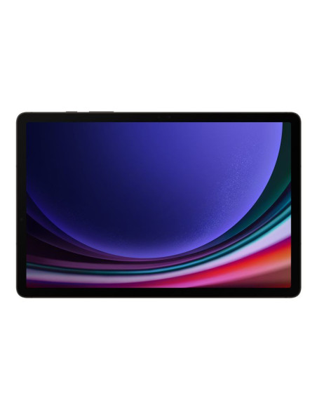 Samsung Tab S9 11.0 WIFI 256GB Gray