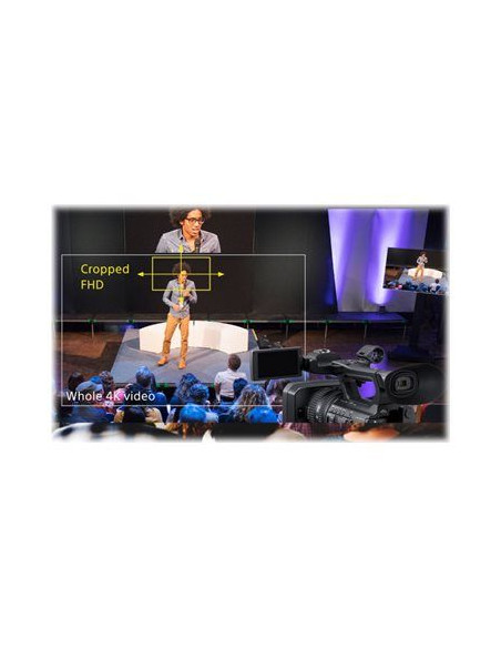 Edge Analytics Focus Area Cropping