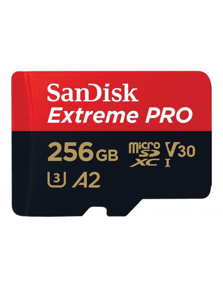 Ext PRO microSDXC 256GB+SD 200MB/s