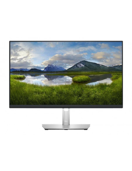 Dell 24 Monitor - P2423DE