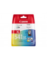 Ink/Color XL Ink Cartridge CL-541XL EUR