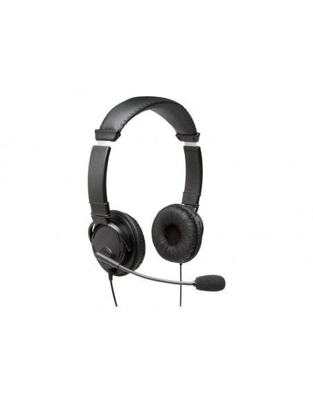 USB Hi-Fi Headphones with Mic