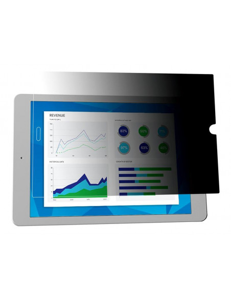 Apple privacy filter for iPad