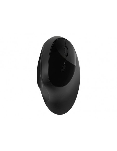 Pro Fit Ergo Wireless Mouse