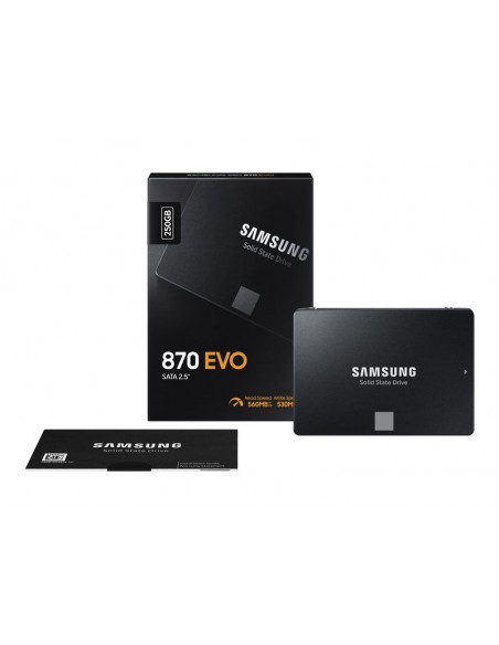 SAMSUNG 870 EVO 250 GB