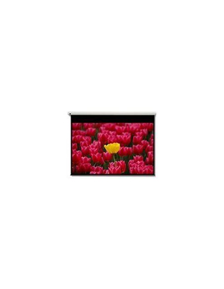 DE-9120EGA/120" 16:9 electric screen