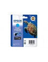 Ink/T1572 Turtle 25.9ml CY
