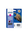 Ink/T1573 Turtle 25.9ml VMG