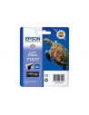 Ink/T1577 Turtle 25.9ml LBK