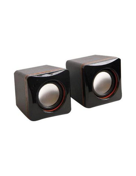 Mini Ht-parleurs 2x2WRMS120W PMPOUSBNoir