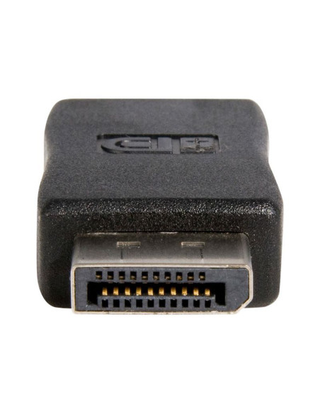 DisplayPort to HDMI Video Converter M/F